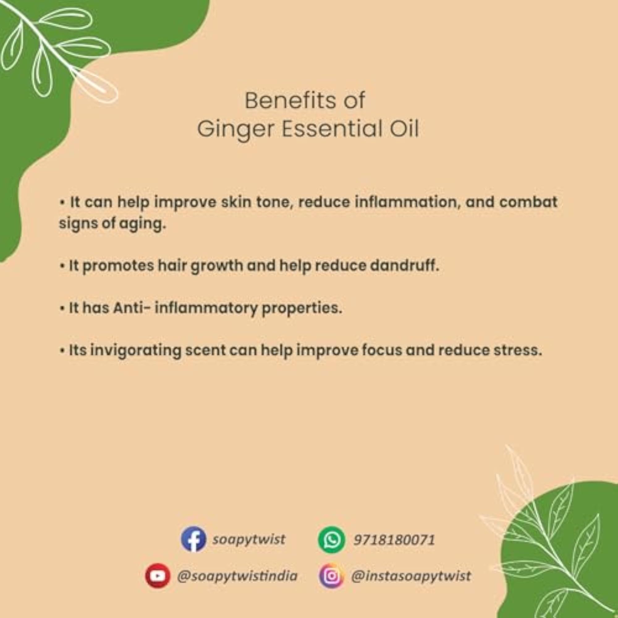Ginger Essential Oil, 25g